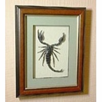 Картина панно скорпион Гигантский Скорпион Индокитая Ск2д